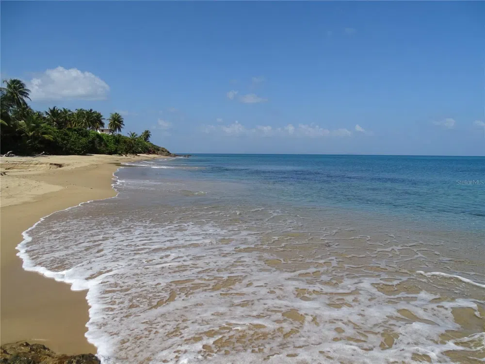 A-9 THE SANDS Vieques, PR 00765
