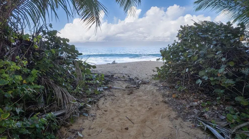 A-9 THE SANDS Vieques, PR 00765