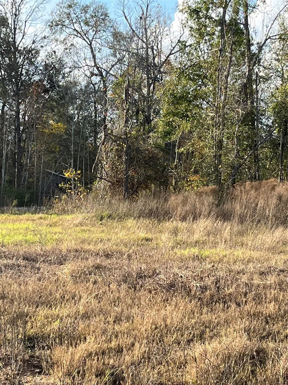 255 County Road 373 Splendora, TX 77372