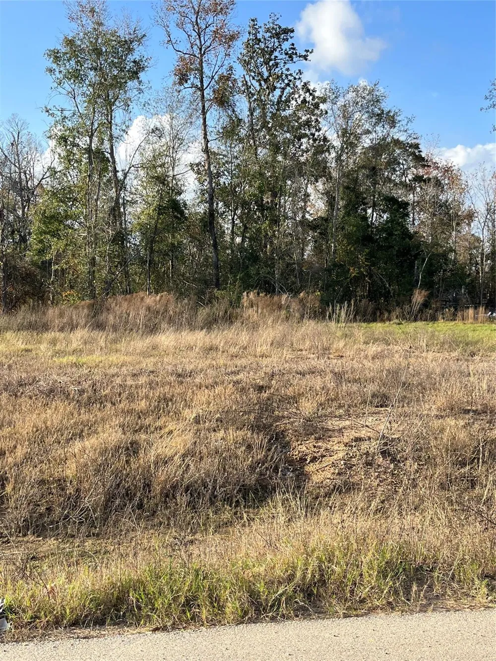255 County Road 373 Splendora, TX 77372