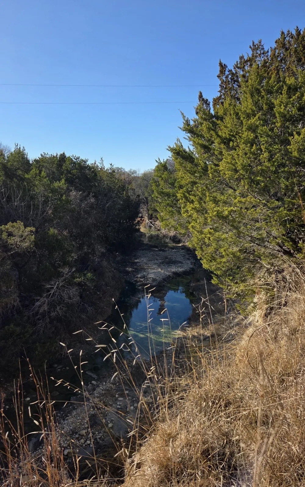 County road 4195 Clifton, TX 76634