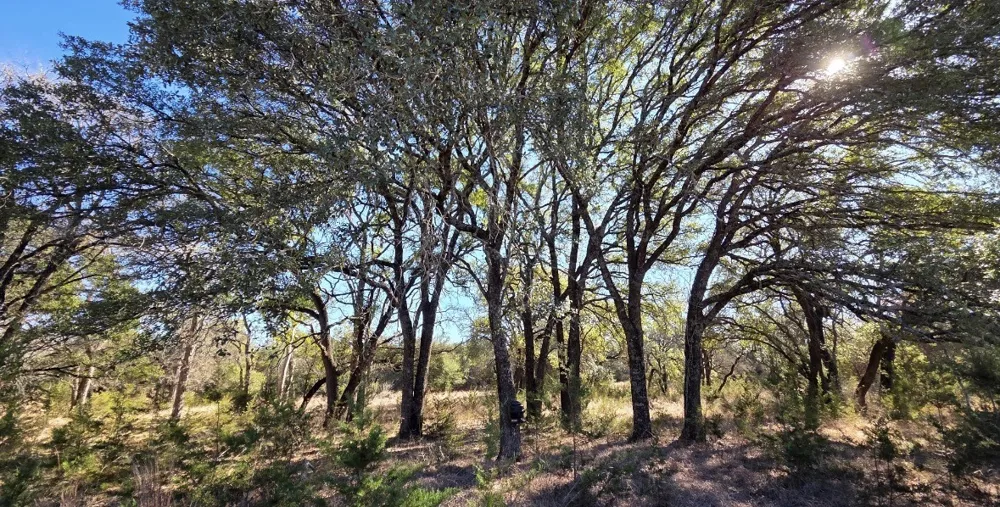 County road 4195 Clifton, TX 76634