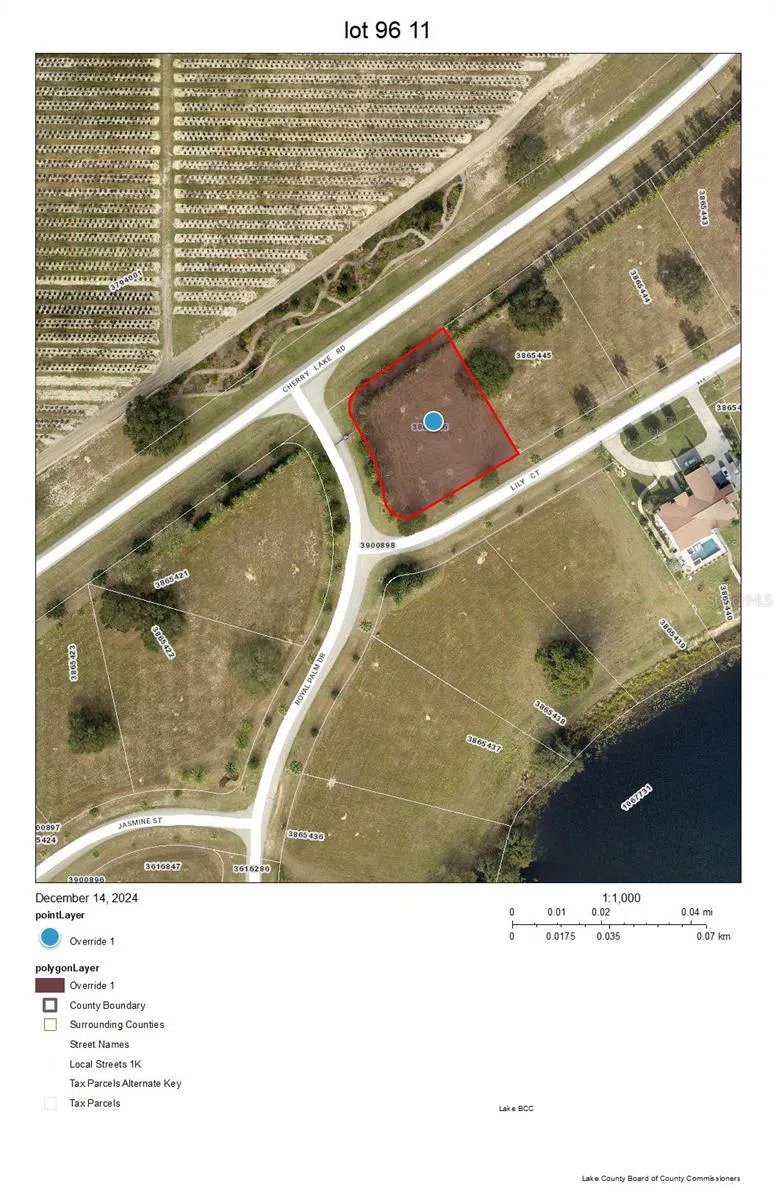 17200 ROYAL PALM DRIVE Groveland, FL 34736