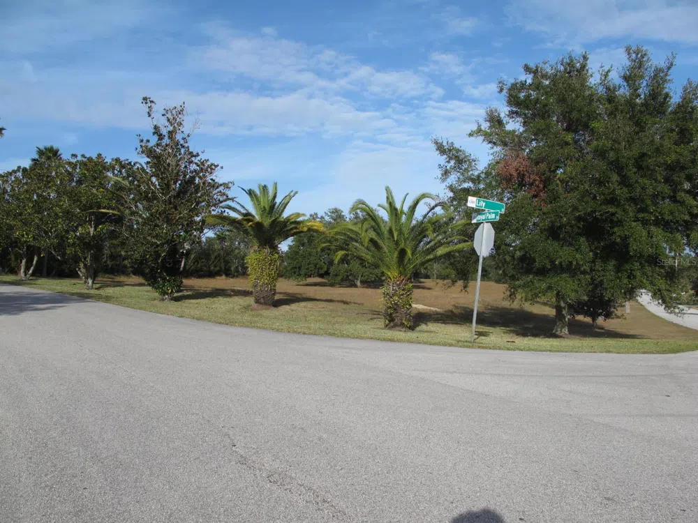 17200 ROYAL PALM DRIVE Groveland, FL 34736