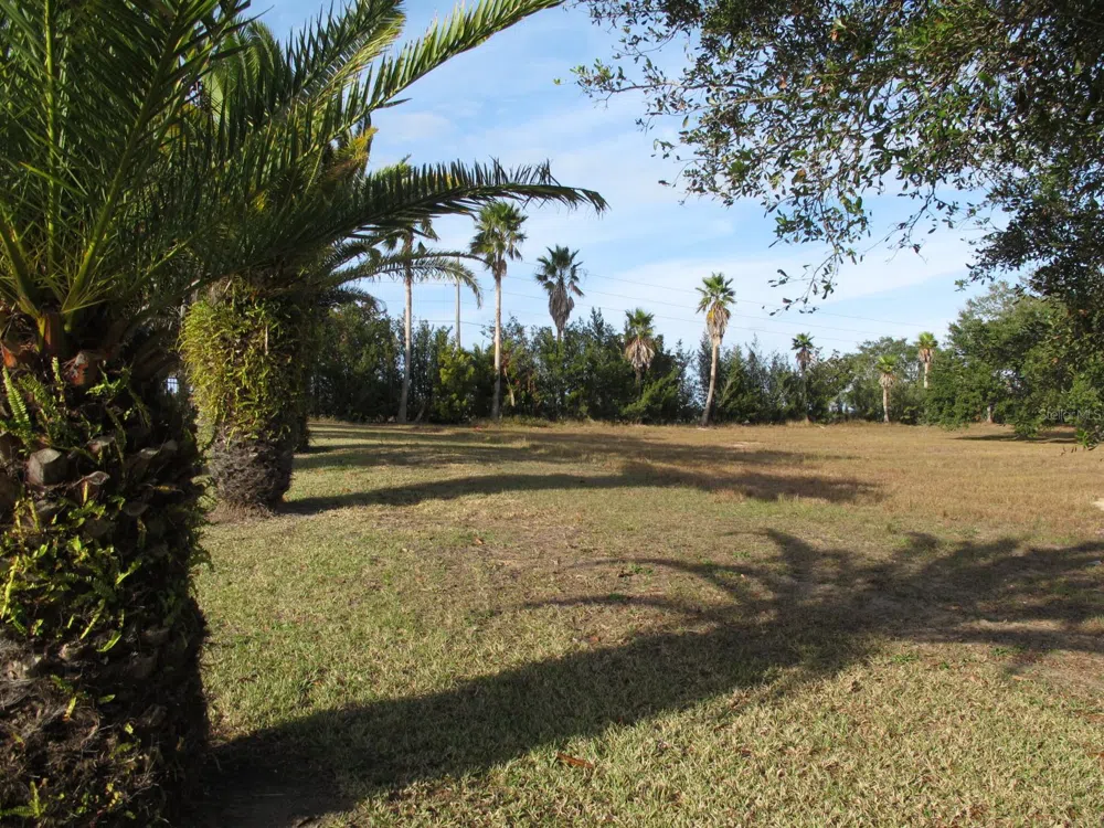 17200 ROYAL PALM DRIVE Groveland, FL 34736