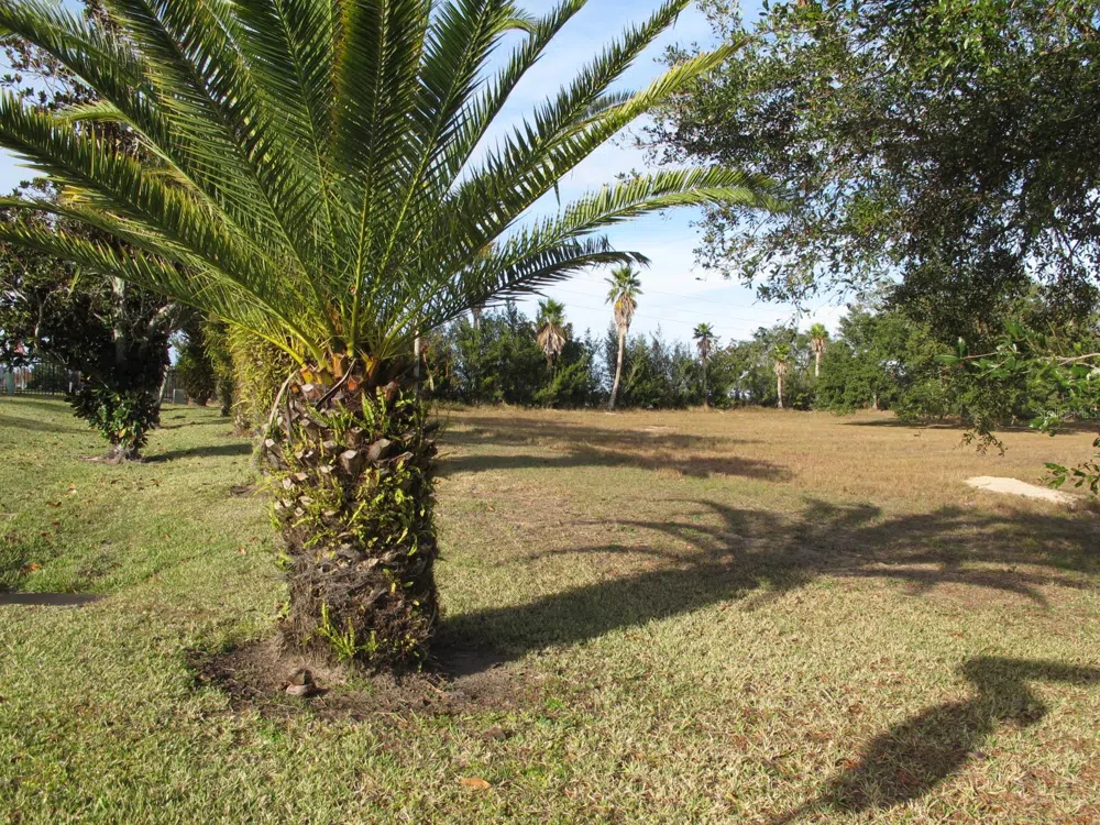 17200 ROYAL PALM DRIVE Groveland, FL 34736