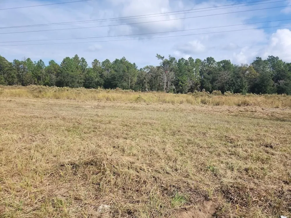 SE MARICAMP ROAD ocala, FL 34472