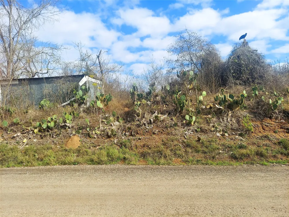Young Road Smithville, TX 78957