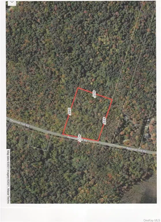 Revonah Hill Road Liberty, NY 12754