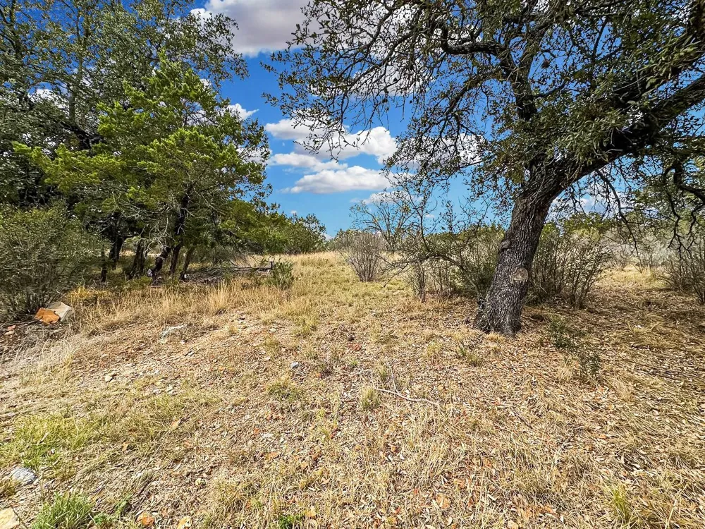 Silver Dollar Horseshoe Bay, TX 78657