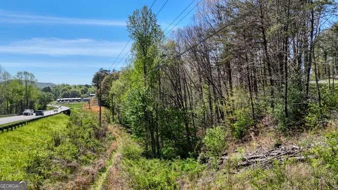 1 Rachel RD Blairsville, GA 30512
