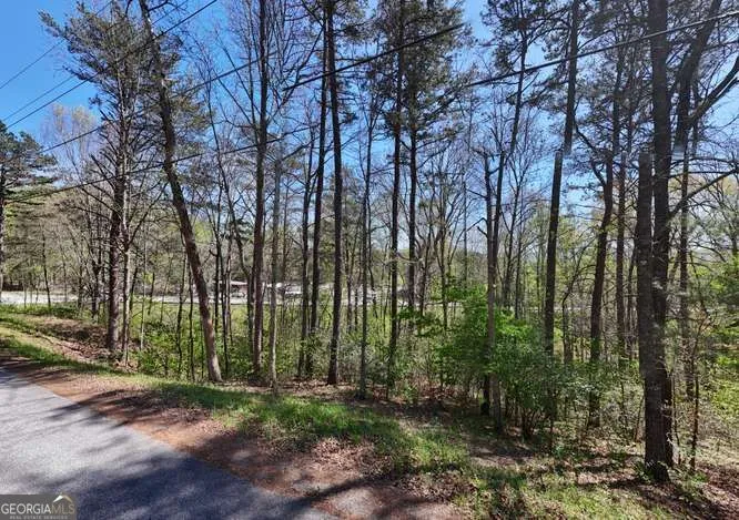 1 Rachel RD Blairsville, GA 30512