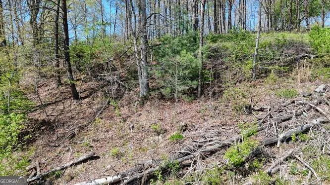 1 Rachel RD Blairsville, GA 30512