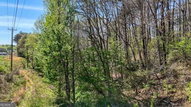 1 Rachel RD Blairsville, GA 30512