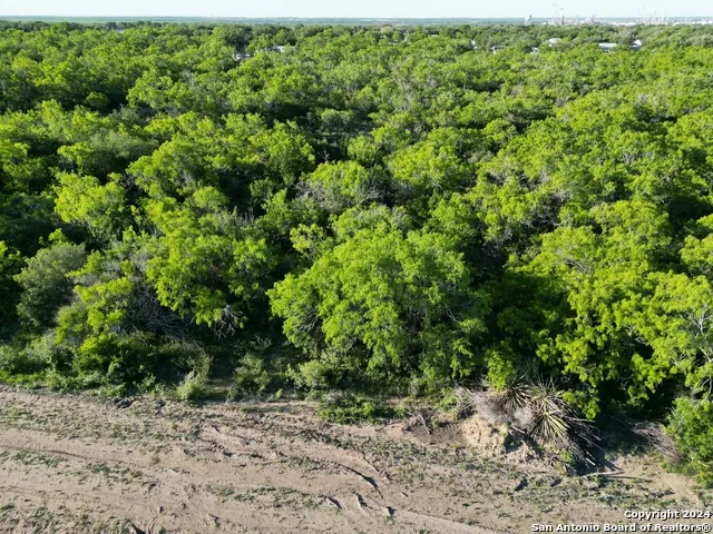 730 CR 200 Three Rivers, TX 78071