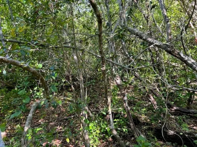 0 No Access Road Everglades City, FL 34139
