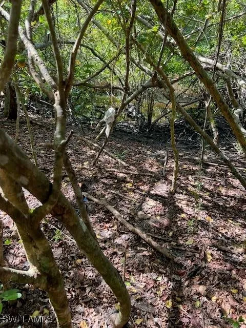 0 No Access Road Everglades City, FL 34139