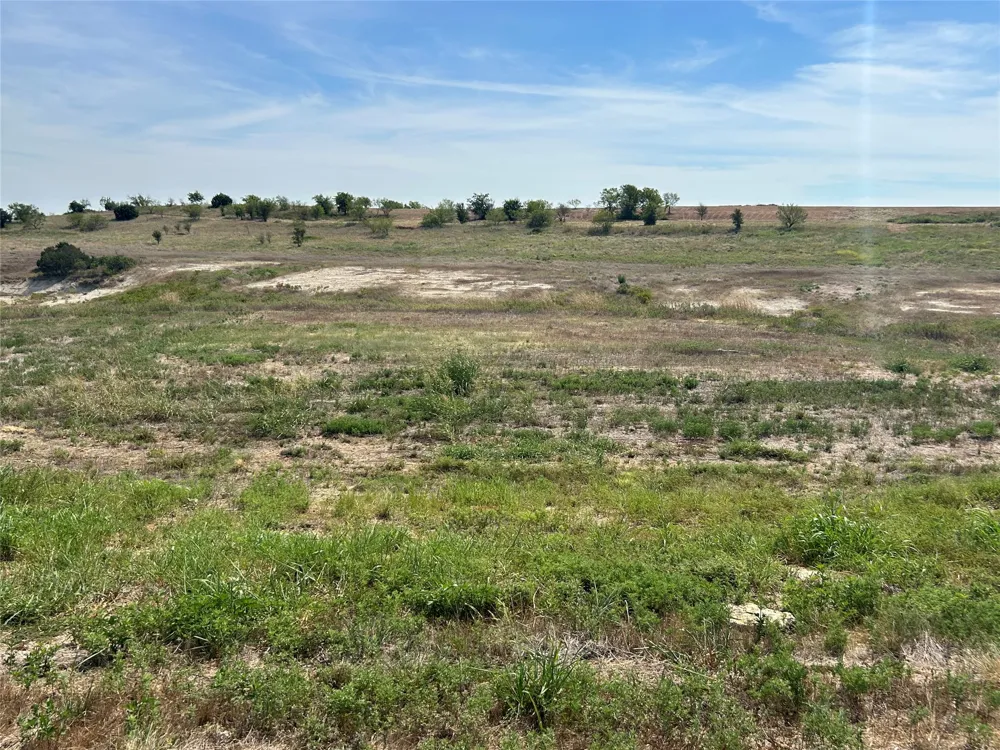 1025 Bear Creek Ranch Road Aledo, TX 76008