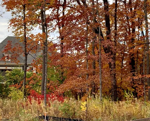 701 Shawnee Woods Road