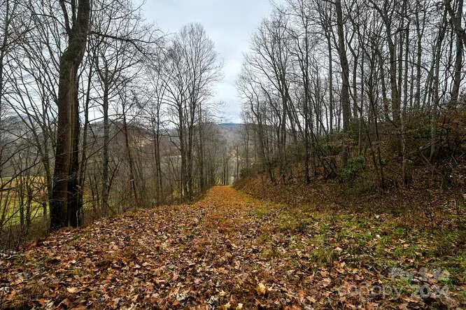 19 Flowing Hills Drive #19, 20 Clyde, NC 28721