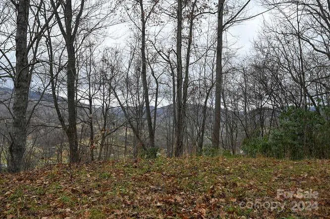 19 Flowing Hills Drive #19, 20 Clyde, NC 28721