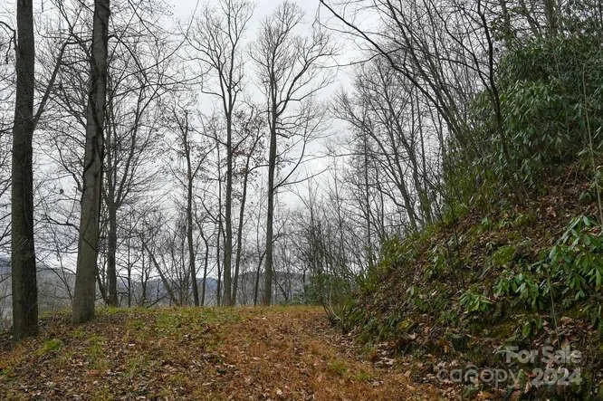 19 Flowing Hills Drive #19, 20 Clyde, NC 28721