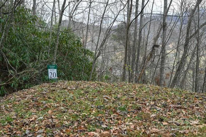 19 Flowing Hills Drive #19, 20 Clyde, NC 28721