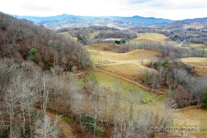19 Flowing Hills Drive #19, 20 Clyde, NC 28721