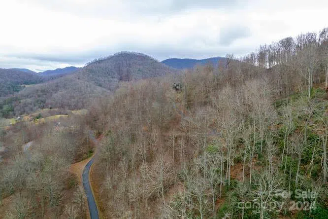 19 Flowing Hills Drive #19, 20 Clyde, NC 28721