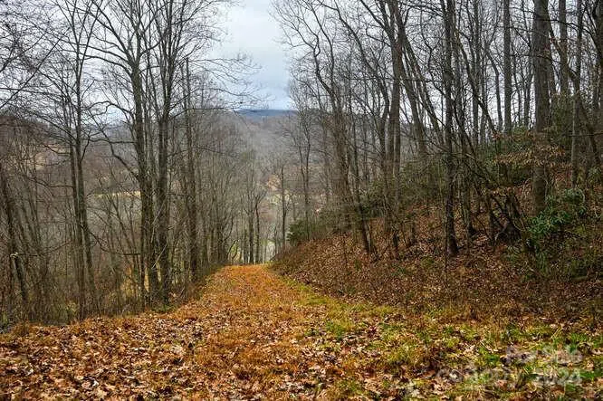 19 Flowing Hills Drive #19, 20 Clyde, NC 28721