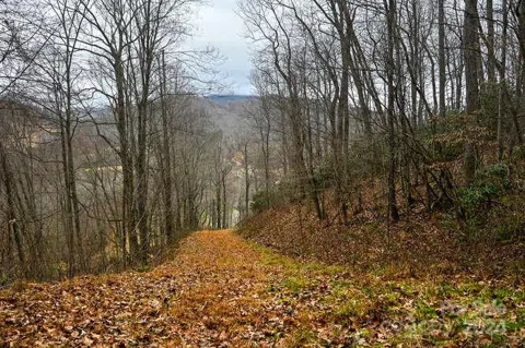 19 Flowing Hills Drive #19, 20