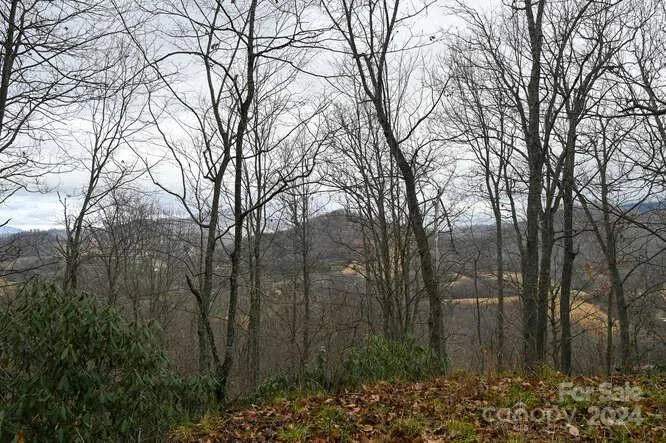 19 Flowing Hills Drive #19, 20 Clyde, NC 28721