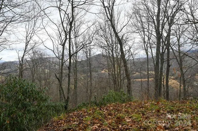 19 Flowing Hills Drive #19, 20 Clyde, NC 28721