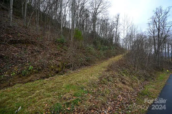 19 Flowing Hills Drive #19, 20 Clyde, NC 28721