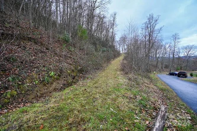 19 Flowing Hills Drive #19, 20 Clyde, NC 28721