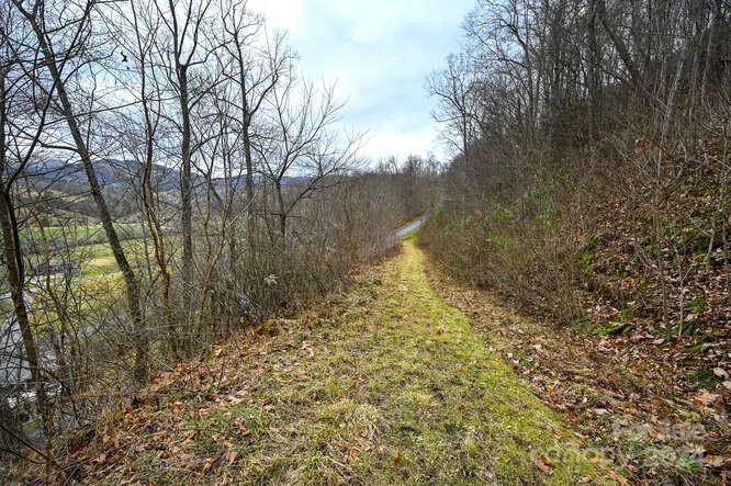 19 Flowing Hills Drive #19, 20 Clyde, NC 28721