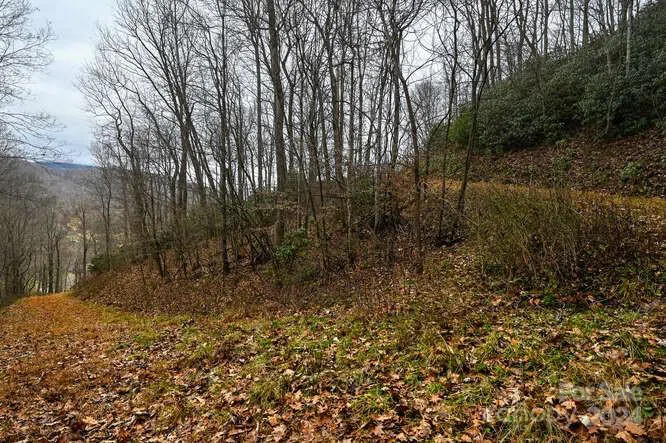 19 Flowing Hills Drive #19, 20 Clyde, NC 28721
