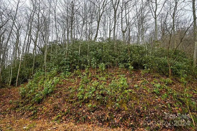 19 Flowing Hills Drive #19, 20 Clyde, NC 28721