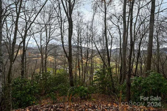 19 Flowing Hills Drive #19, 20 Clyde, NC 28721