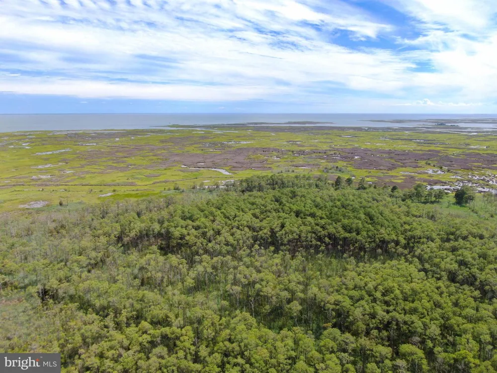 2746 CALVARY Crisfield, MD 21817