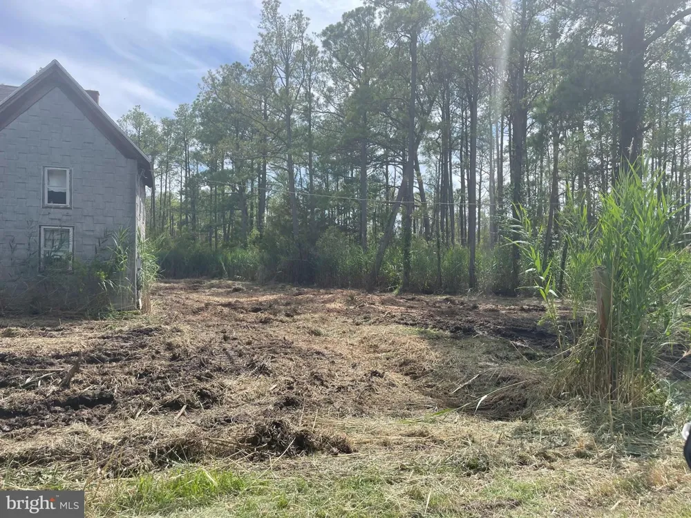 2746 CALVARY Crisfield, MD 21817