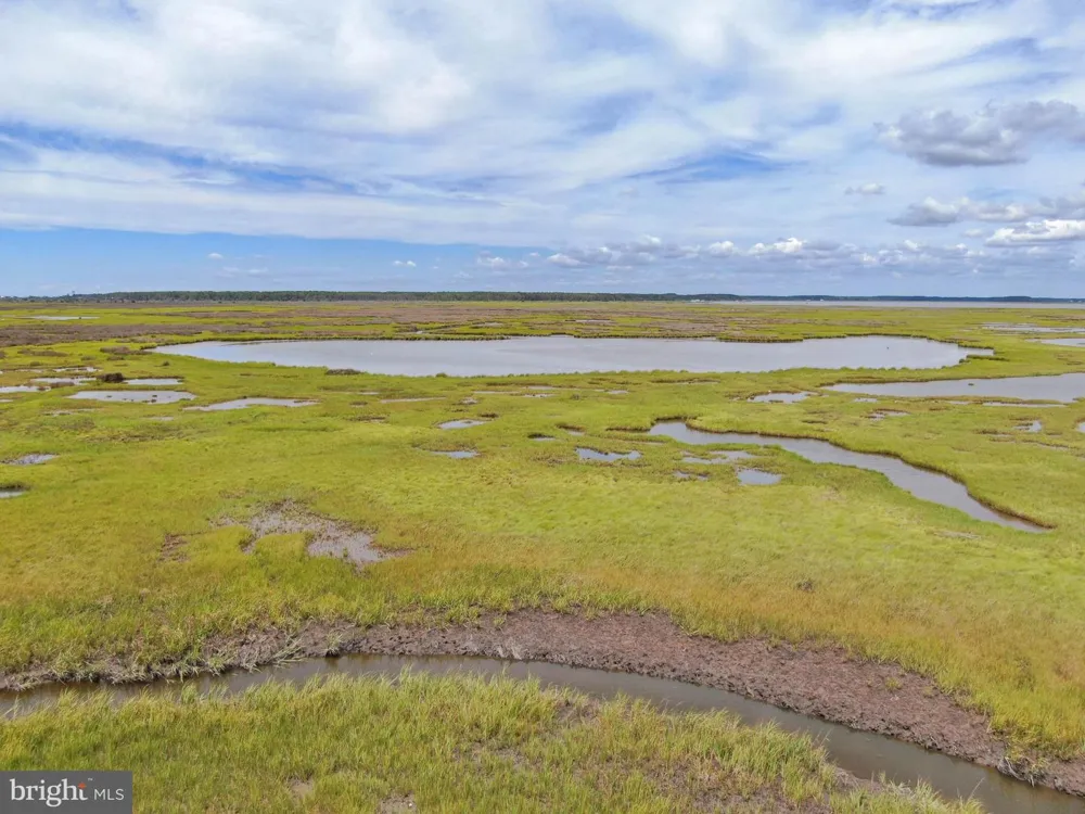 2746 CALVARY Crisfield, MD 21817