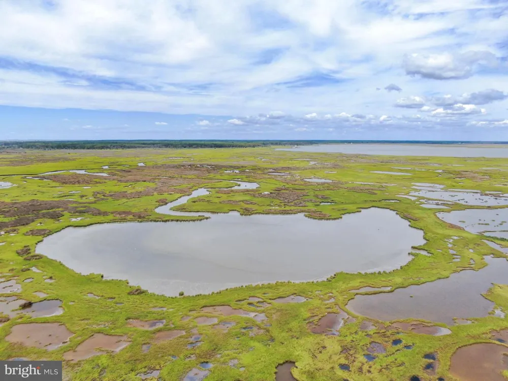 2746 CALVARY Crisfield, MD 21817