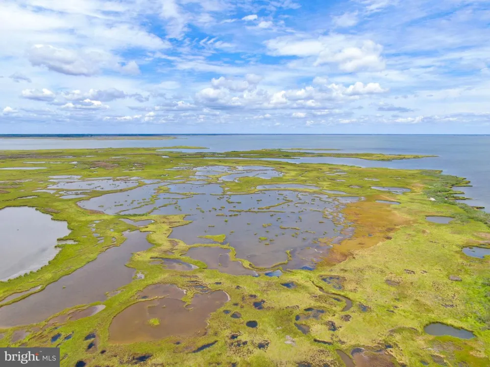 2746 CALVARY Crisfield, MD 21817