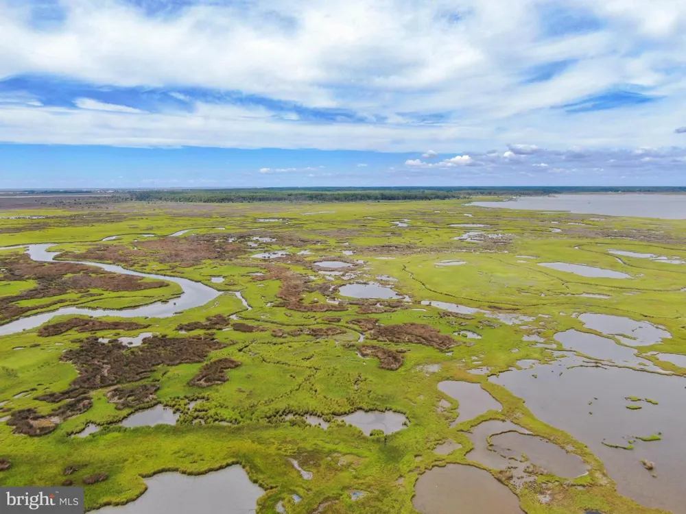 2746 CALVARY Crisfield, MD 21817