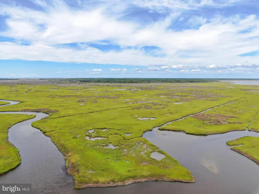 2746 CALVARY Crisfield, MD 21817