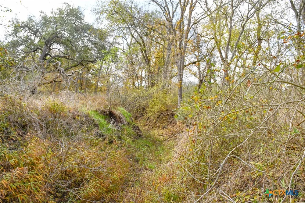 3237 Church Road Seguin, TX 78155