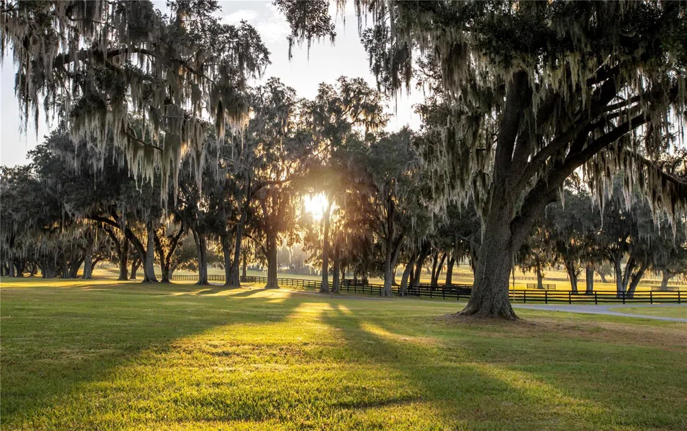 6800 & 6500 NW 193RD STREET Micanopy, FL 32667