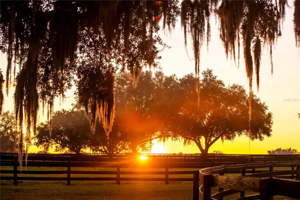 6800 & 6500 NW 193RD STREET Micanopy, FL 32667