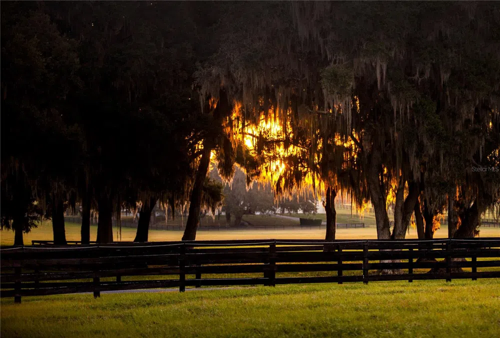 6800 & 6500 NW 193RD STREET Micanopy, FL 32667